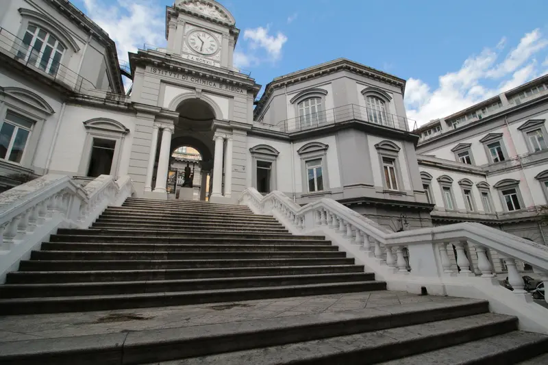University of Naples Federico II